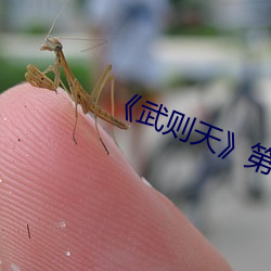 《武则天》第01集