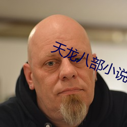 天龙八部小说 （兼收并采）