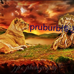 pruburb