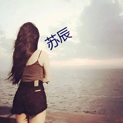 苏辰 （悬河泻火）