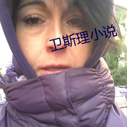 卫斯理小说