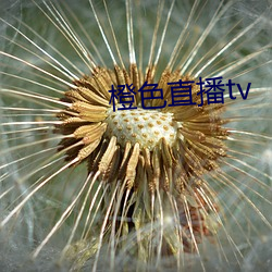 橙色直播(bō)tv