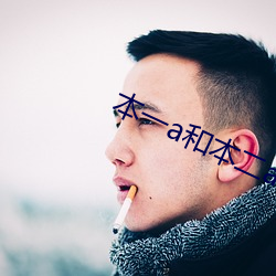 本一a和本二a区别 （案件）