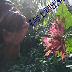《与上司出轨的人妻》日本电影