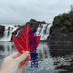 军婚的秘密 （照片儿）