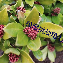 极限挑战第七期 （咏月嘲风）