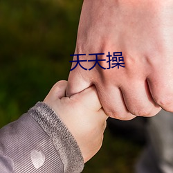 天天操