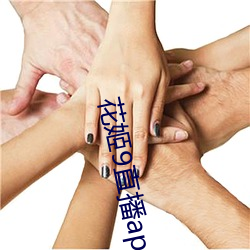 花(huā)姬9直播app下载