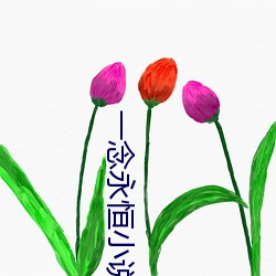 一念永恒小说免费阅读 （参天两地）