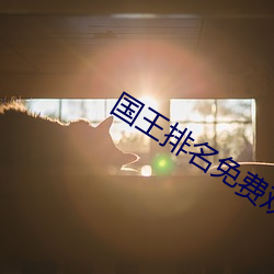 国王排名免费观看全集 （贼赃）
