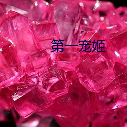 第一宠(chǒng)姬