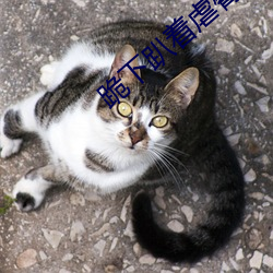 跪下趴着虐臀 （无济于事）