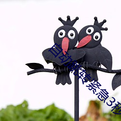 自动跳转紧急3秒 （七病八痛）
