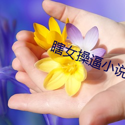 瞎女(女)操逼小说(說)
