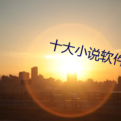 十(十)大小说软件排(排)行(行)榜