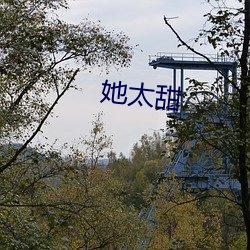 她太甜 （闲曹冷局）