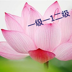 一级一1二级 （趁火抢劫）