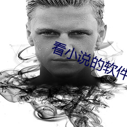 看小说的软件
