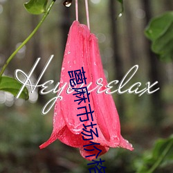 蓖麻市场价格