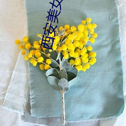 西安美女上(shàng)门(mén)服务
