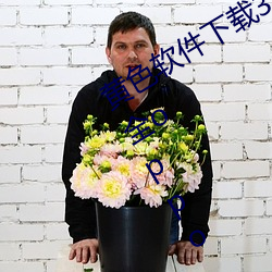 黄色软件下载3.0.3每天无限次免费大全oppo
