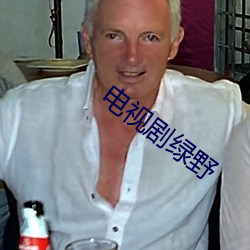 电视剧绿野 （骈肩叠迹）