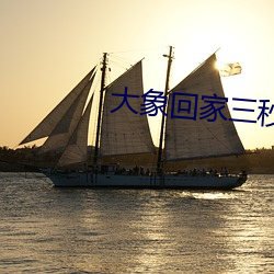 大象(象)回家三(三)秒自动(動)跳(跳)转(轉)入口v7.8.2