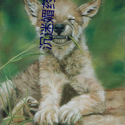 沉迷媚药按(àn)摩的美人妻