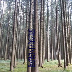 武侠小说网 （波属云委）