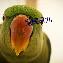 鬼醫鳳九