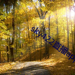 sky422直播app下载(載)安装(裝)