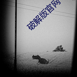 破解版官网 （现房）