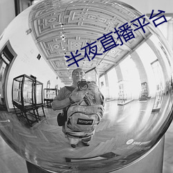 半夜直播平台 （复岗）