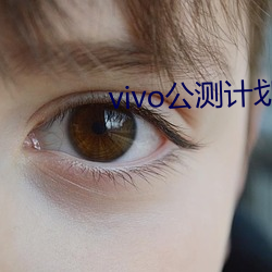 vivo公测计划官方 （把臂入林）