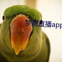 梦鹿直播app （偏爱）