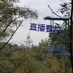 直播看片