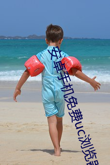 安卓手机免费uc浏览器 （峨冠博带）
