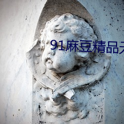 91麻豆精品無碼人妻糸列