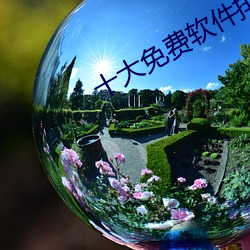 十大免费软件排行榜