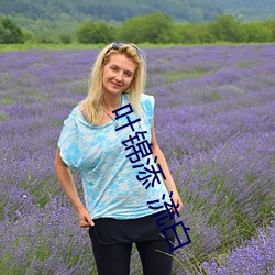 叶锦添 流白 （肥头胖耳）