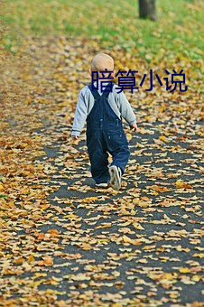 暗算小說