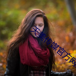 天美傳媒官方網站入口