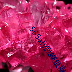 565atv凤蝶直播app （月琴
