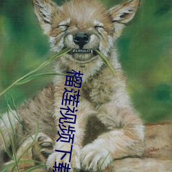 榴莲(蓮)视频下载(載)网(網)址进入18在线观(觀)看战场统计iOS