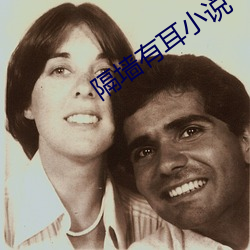 隔墙有耳小说