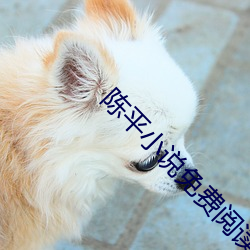 陈平小说免费阅读全文最新章节