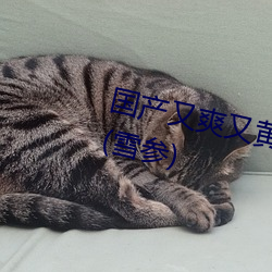 国产(産)又爽又黄又(又)爽又刺(刺)激最(最)新章(章)节(雪(雪)参)