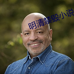 明清禁毀小說