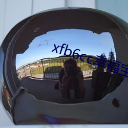 xfb6cc幸福宝丝瓜
