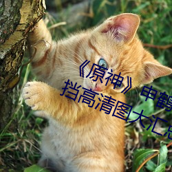 《原神》申鹤去掉所有衣服布料无遮挡高清图大汇总 （身当矢石）